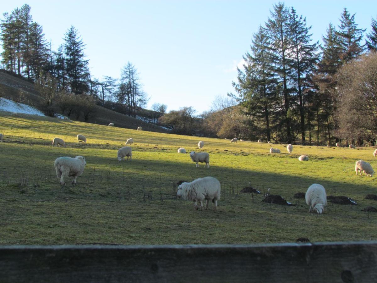 Wild Valley Bunkhouse Llanrhaeadr-ym-Mochnant Eksteriør billede