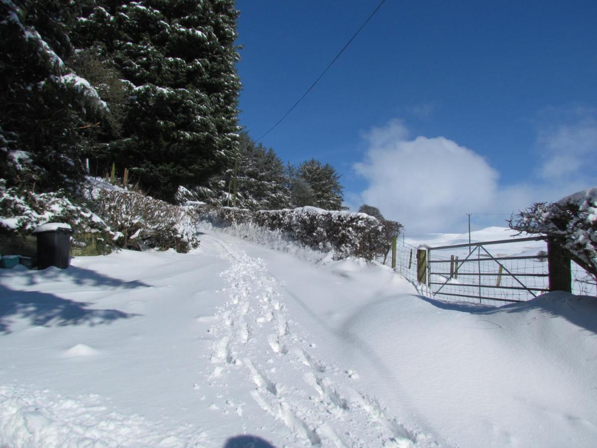 Wild Valley Bunkhouse Llanrhaeadr-ym-Mochnant Eksteriør billede